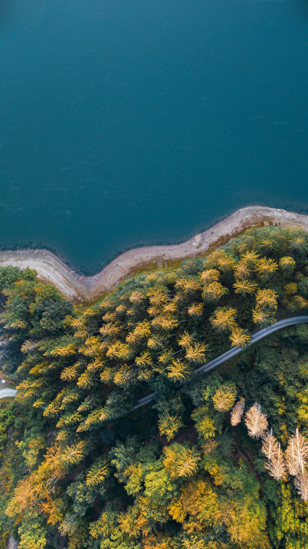 aerial view of green trees and blue sea during daytime