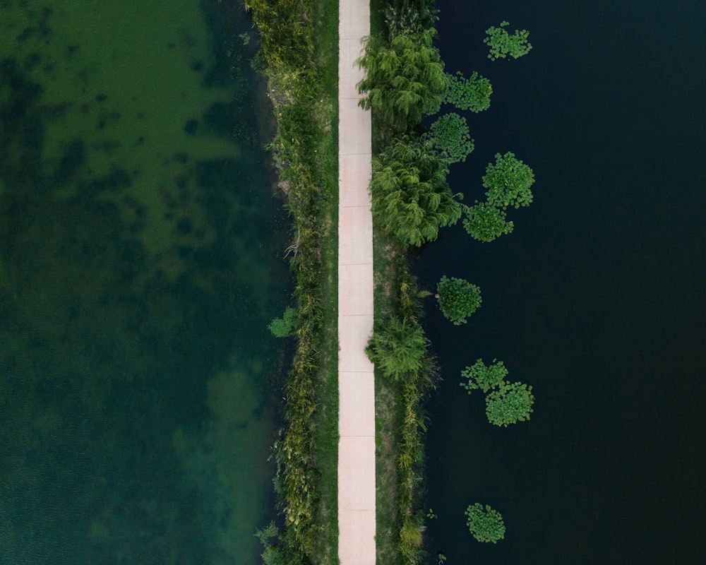 aerial view of green trees and green grass field