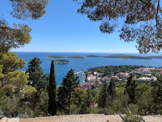 green trees near body of water during daytime in Hvar Croatia