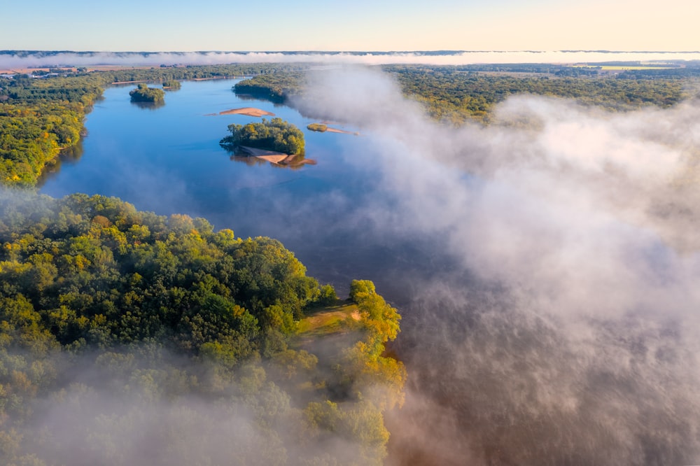 green trees near body of water during daytime