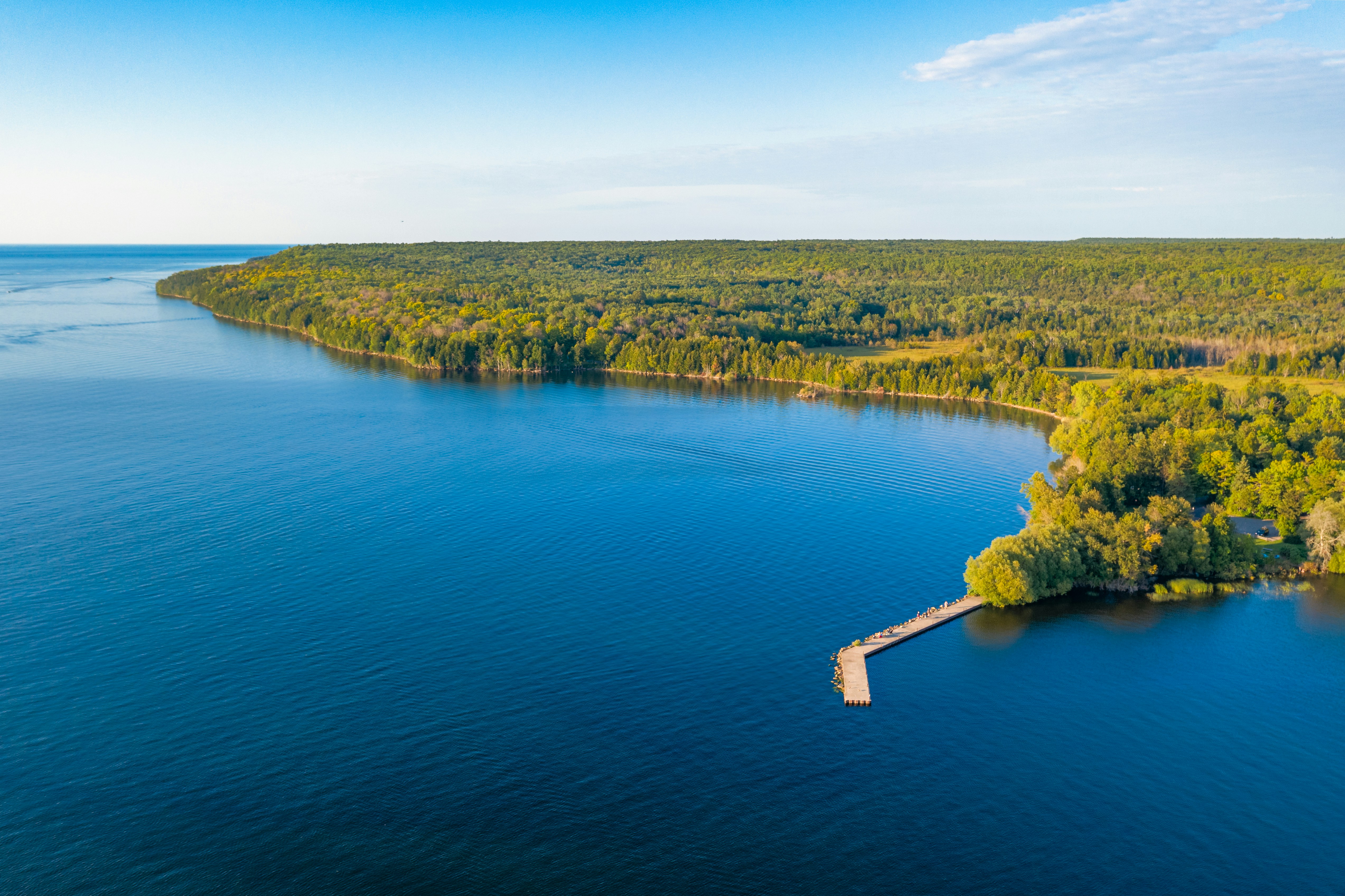 aerial view of green trees beside blue lake during daytime, Mostly Blue