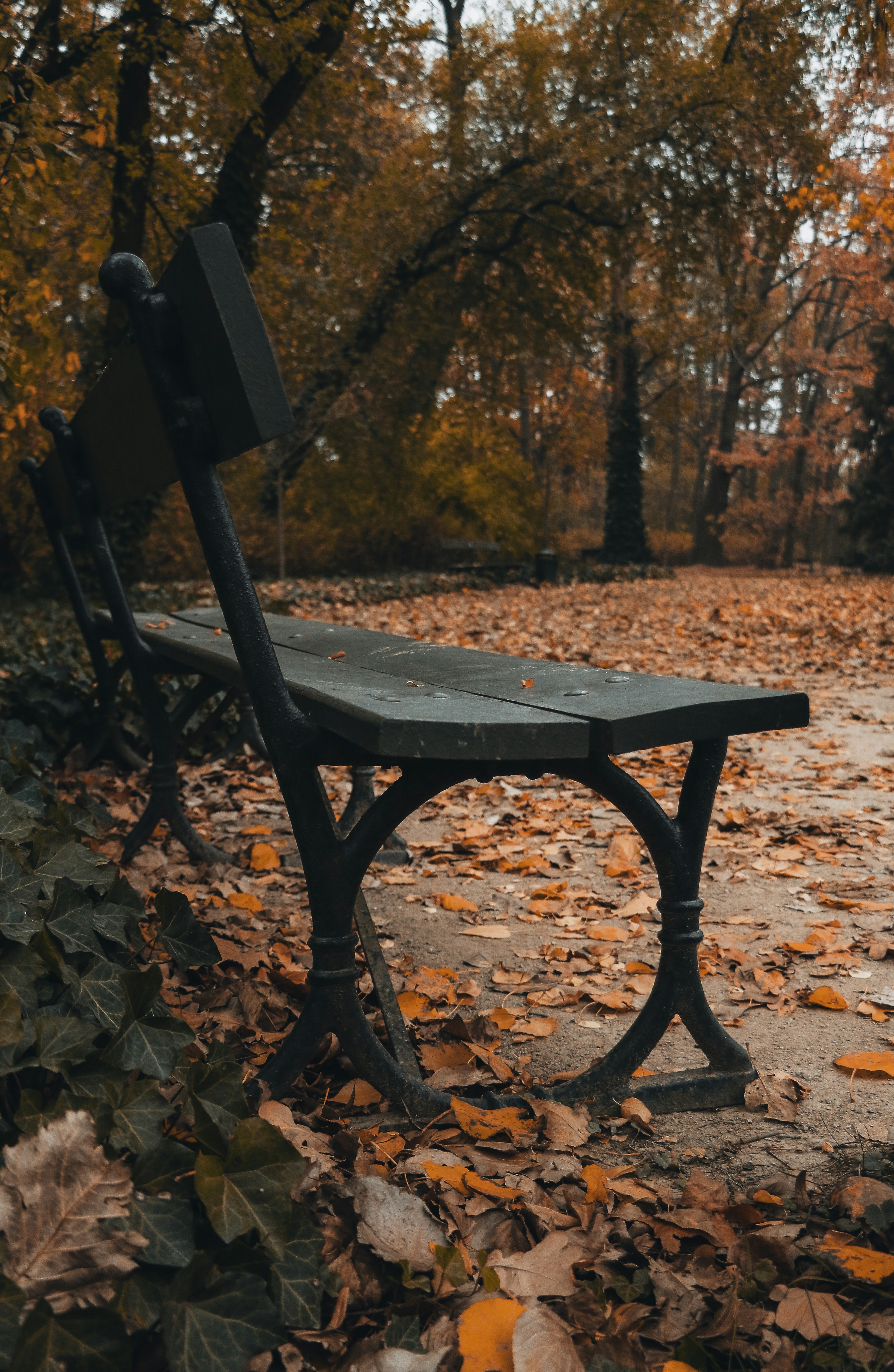 Photo by mohammed_ajwad