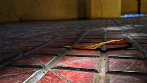 Terracotta Floor Tiles