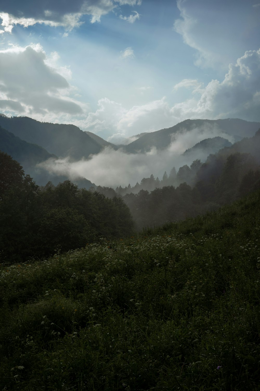 green grass field and mountains during daytime