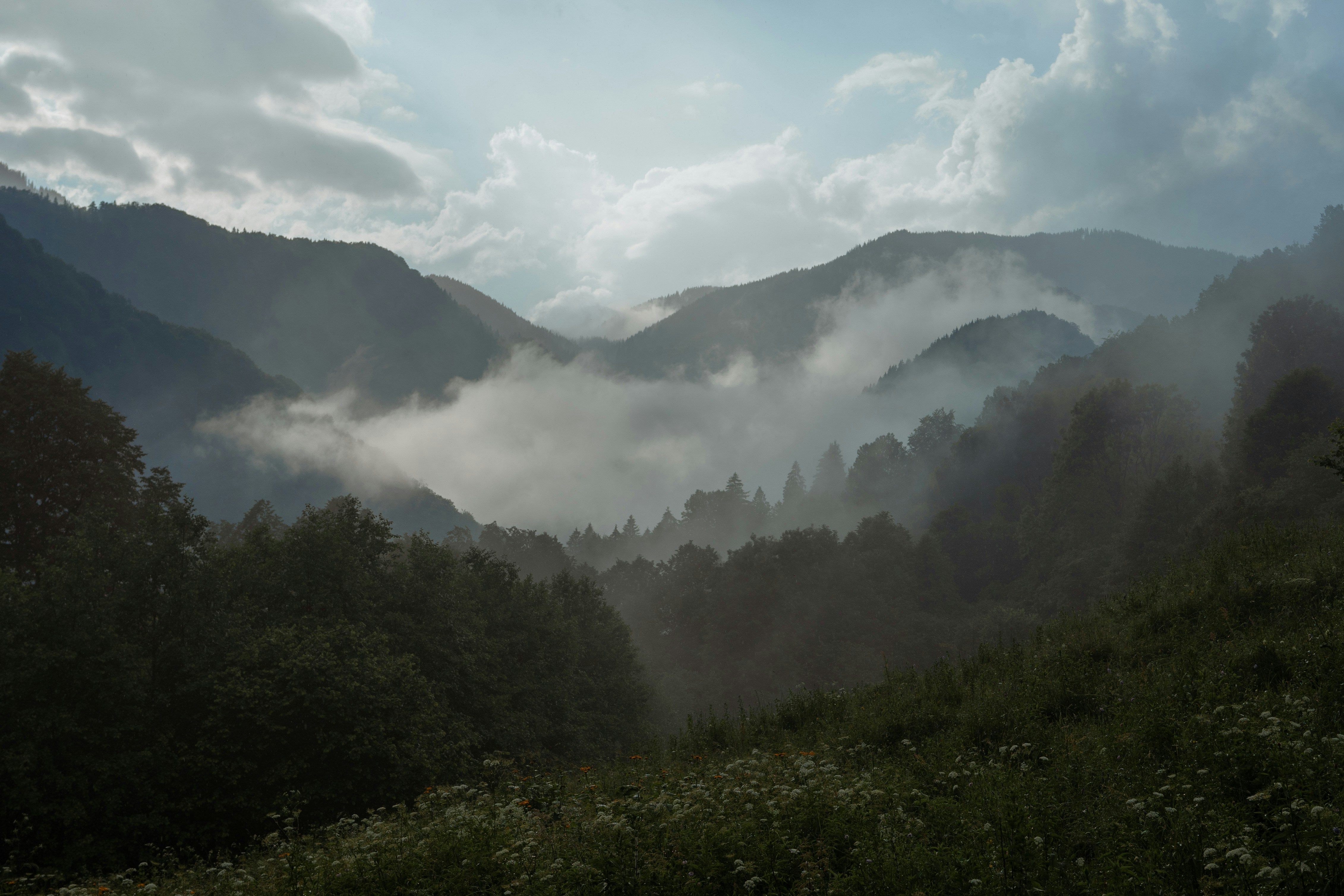 Photo by victorolariu