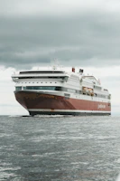 white and brown ship on sea during daytime