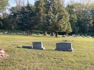 A serene cemetery scene with a well-maintained headstone surrounded by flowers.