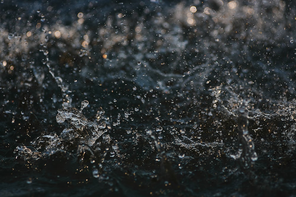 water splash in close up photography