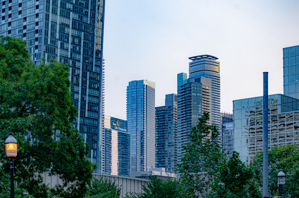 green trees near high rise buildings during daytime