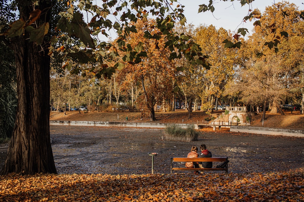 donna seduta sulla panchina sotto l'albero