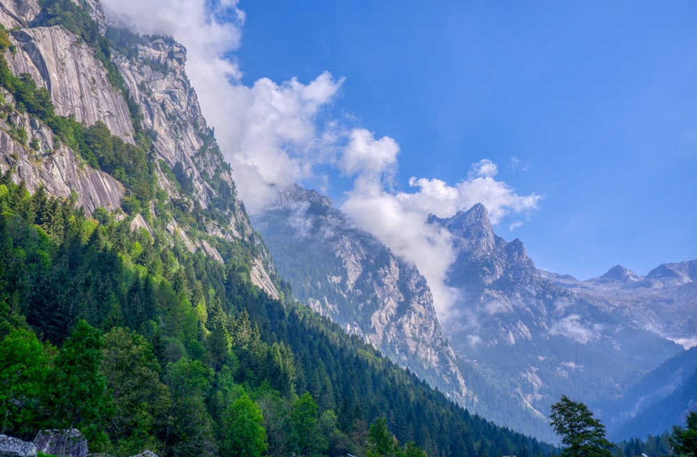 green trees on mountain under blue sky during daytime