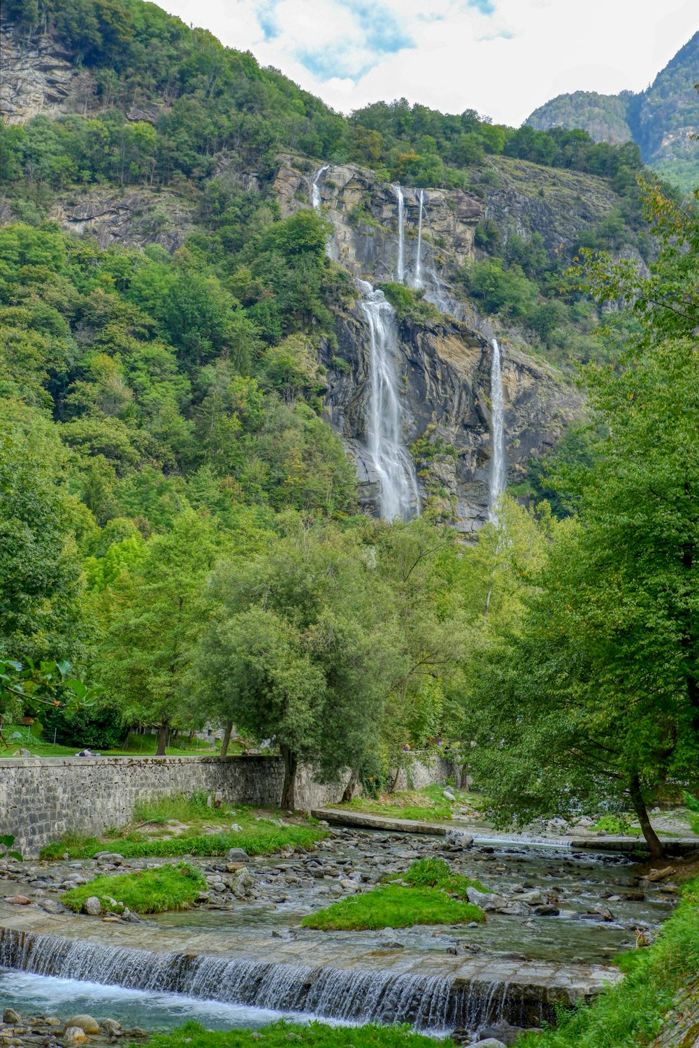 green trees near waterfalls during daytime