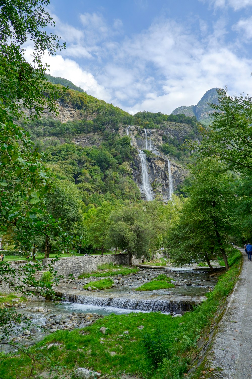 green trees near river during daytime