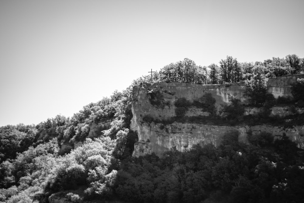 Graustufenfoto von Bäumen und Bergen