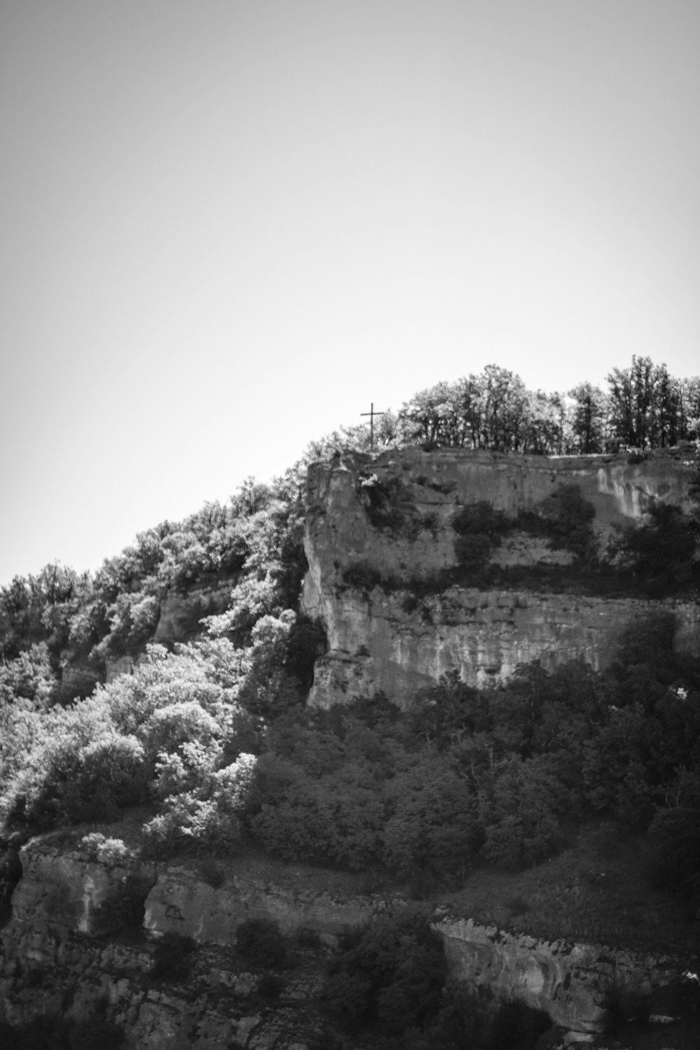 grayscale photo of trees and mountain