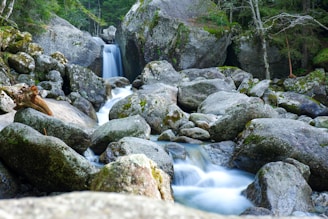 A serene natural scene featuring a gentle waterfall cascading over large, moss-covered rocks. Surrounding the waterfall are lush green trees and bushes, creating a peaceful and untouched atmosphere. The smooth flow of water is captured perfectly, emphasizing the tranquility of the landscape.