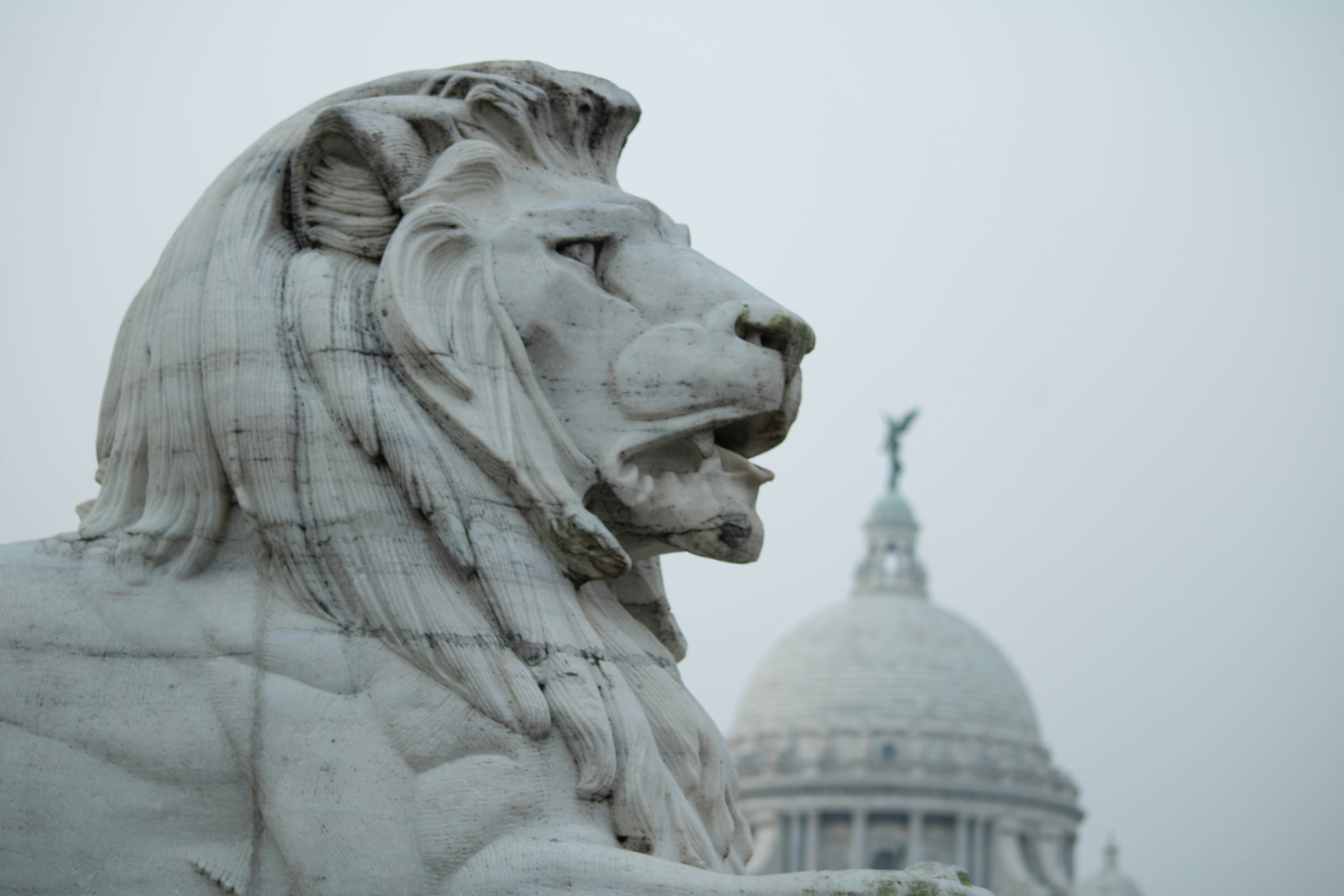 Photo by vishalrohatgi