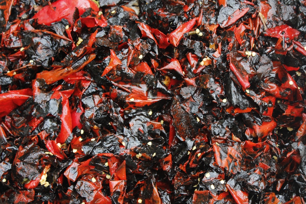 red and black dried leaves