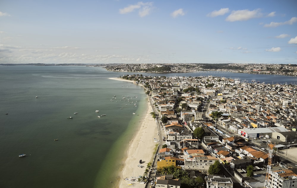 aerial view of city buildings near body of water during daytime