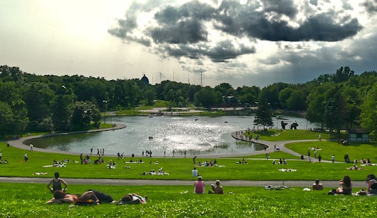 people on green grass field near lake under cloudy sky during daytime in Beaver Lake Canada