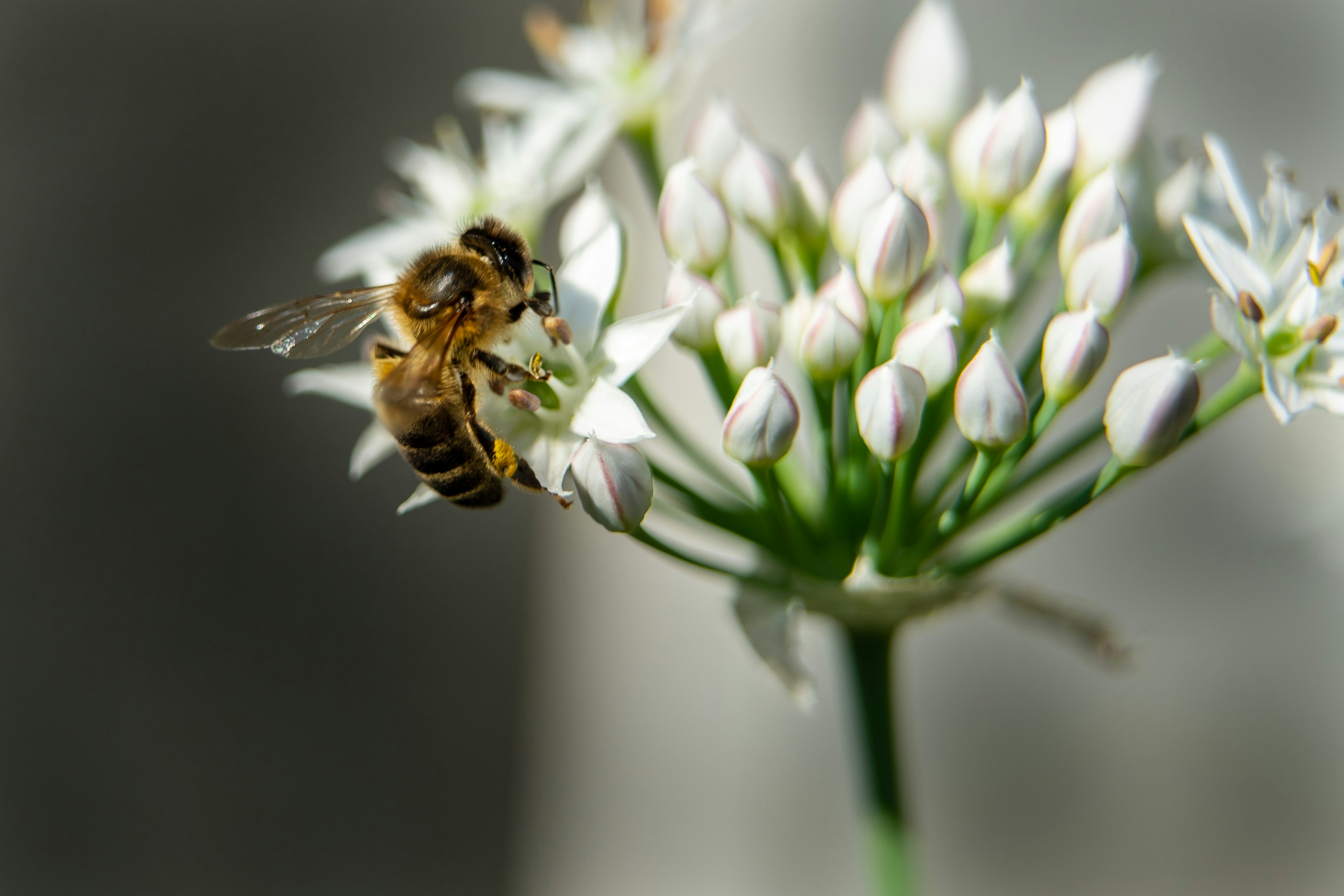 Photo by jannerboy62