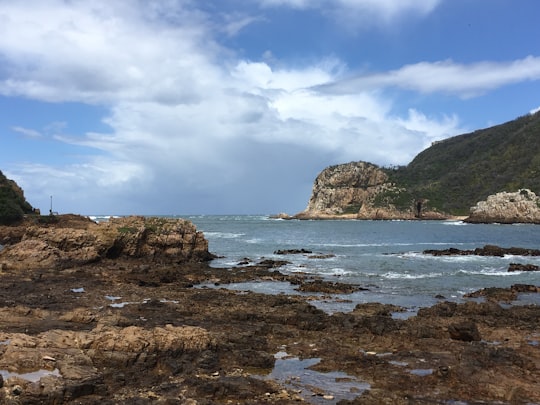 brown rock formation on sea under blue sky and white clouds during daytime in Knysna South Africa