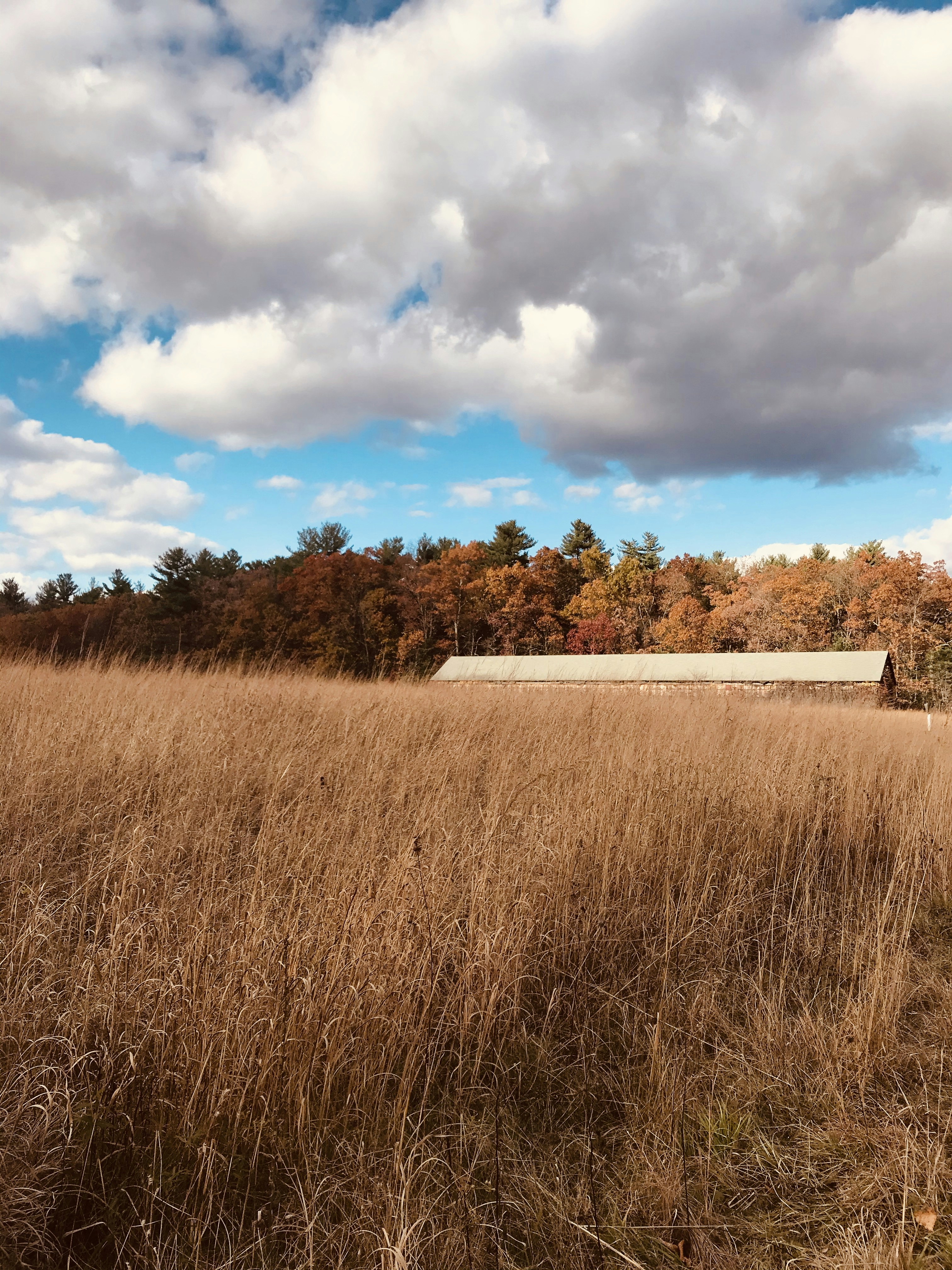 Photo by rucciphotos