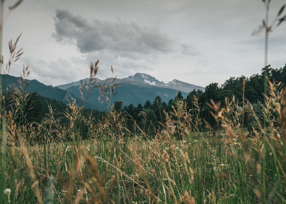 green grass field near mountain under white clouds during daytime