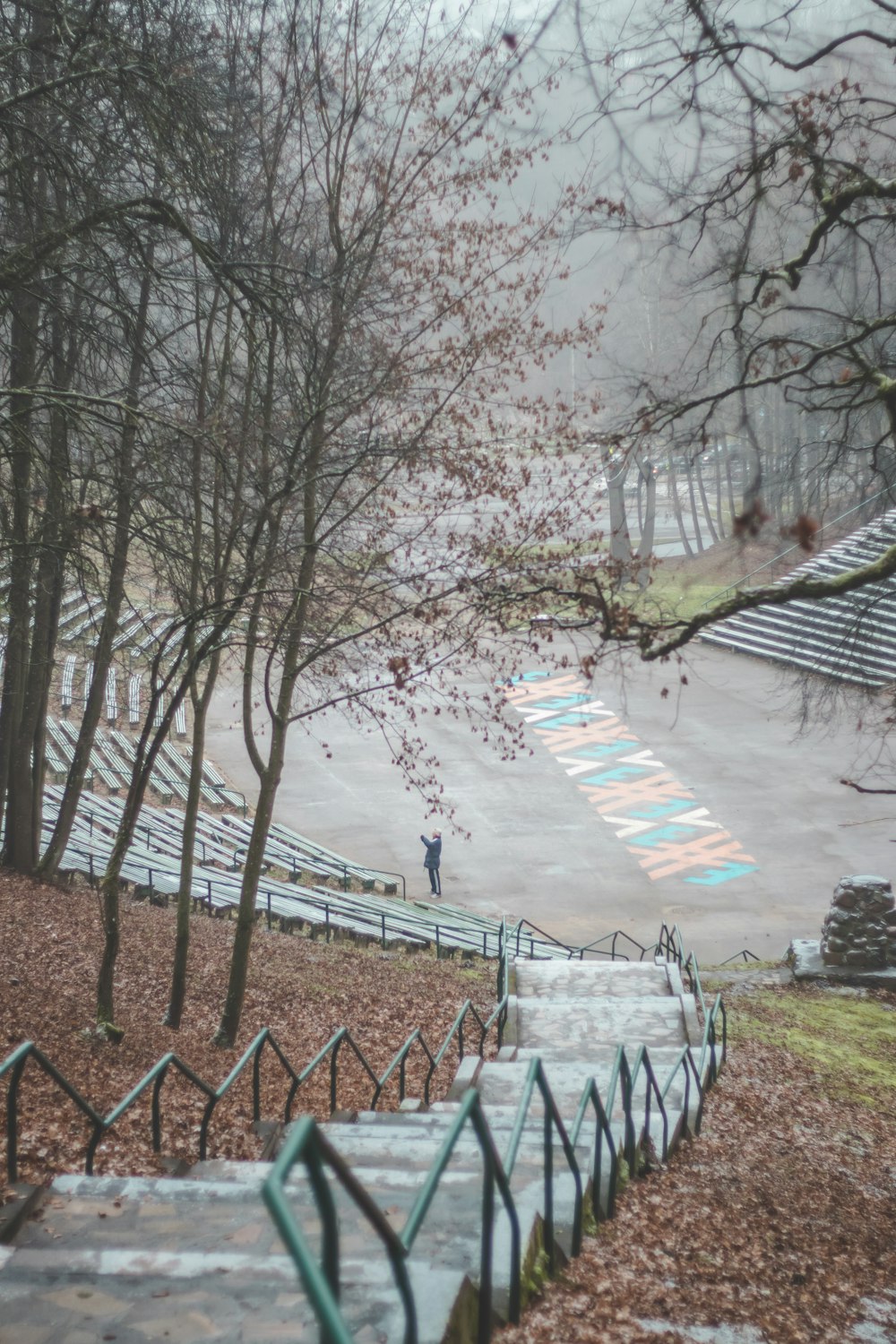 people walking on pathway near trees during daytime