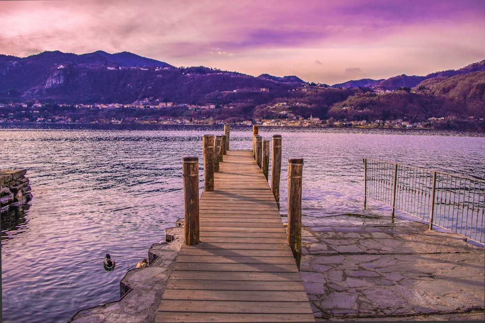 brown wooden dock on body of water during daytime