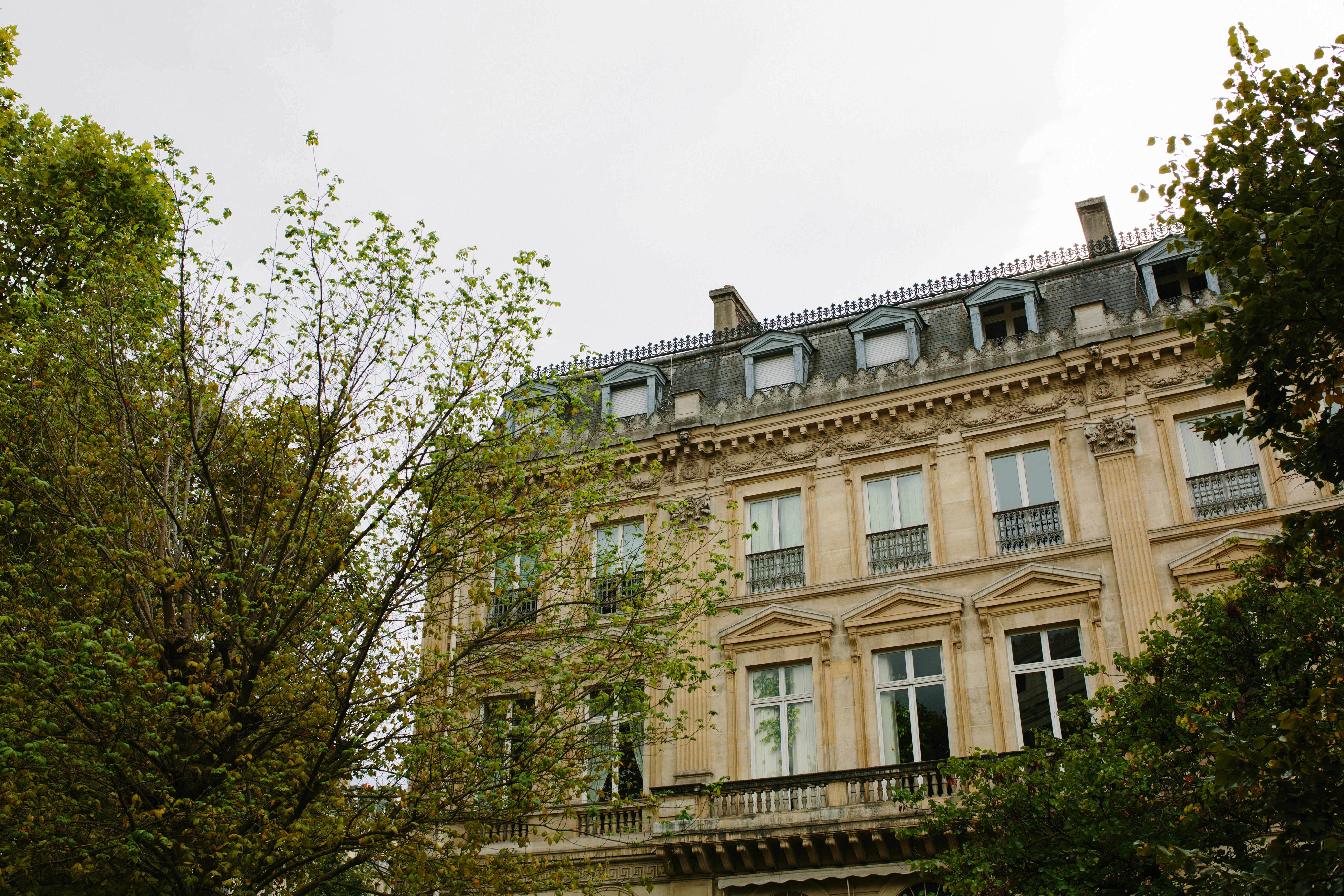 Photo by carl_newton