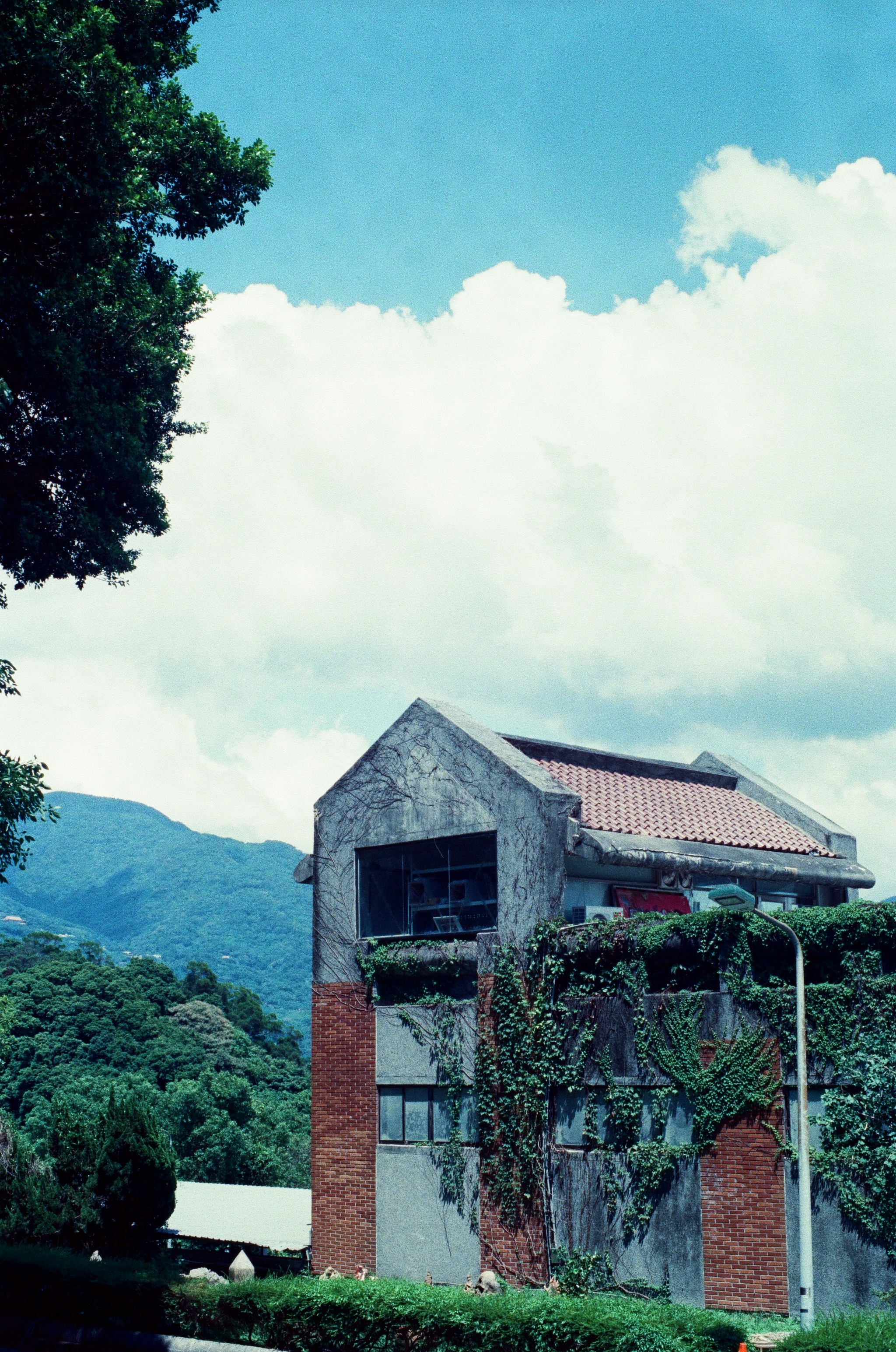 Photo by hanzlog