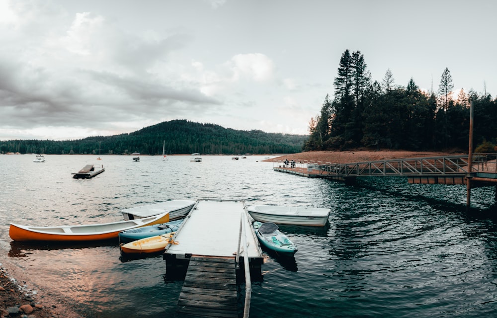 white and blue boat on body of water during daytime