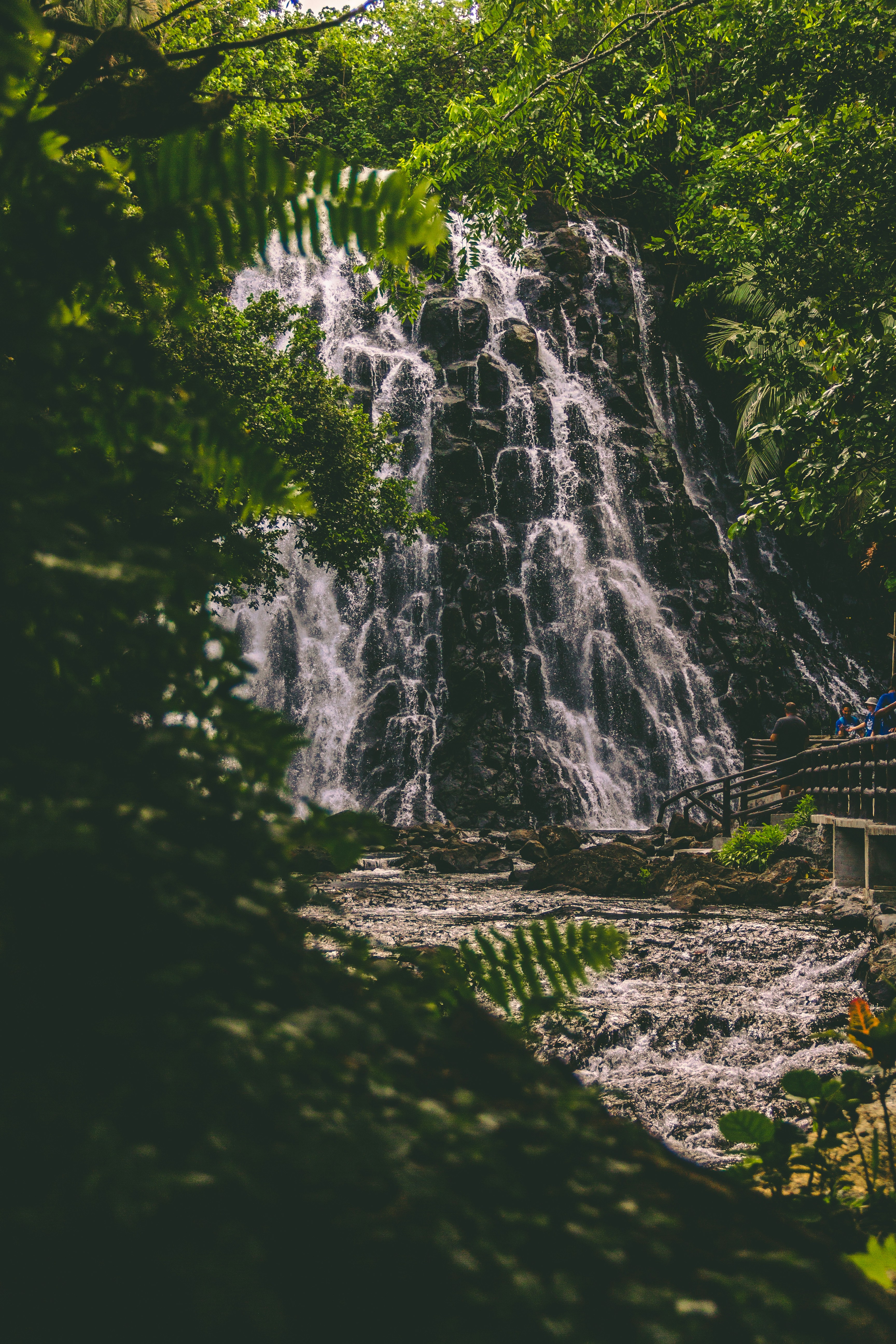brown wooden bridge over waterfalls