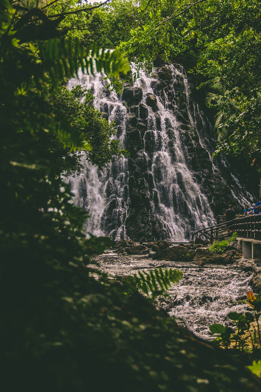 brown wooden bridge over waterfalls