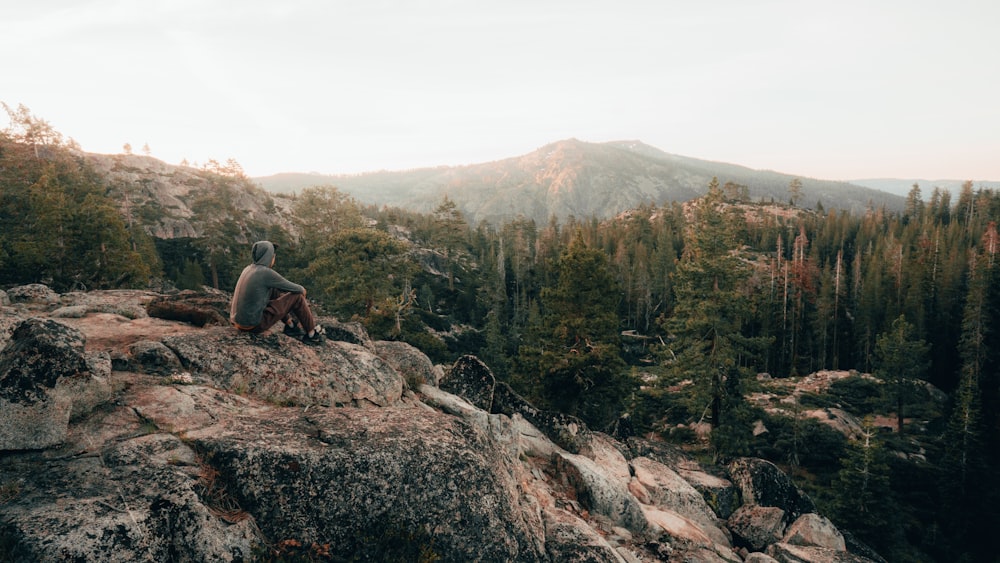 2 person sitting on rock near green trees during daytime