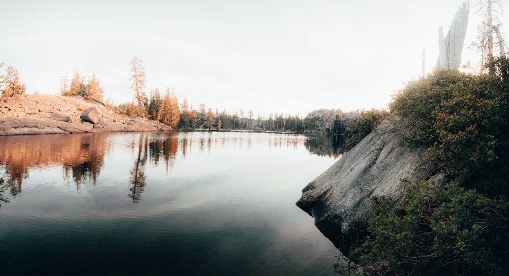 body of water near trees during daytime