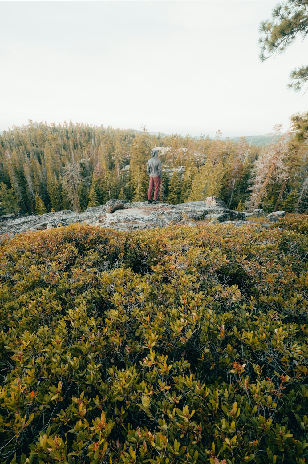 person in red jacket standing on rocky hill during daytime