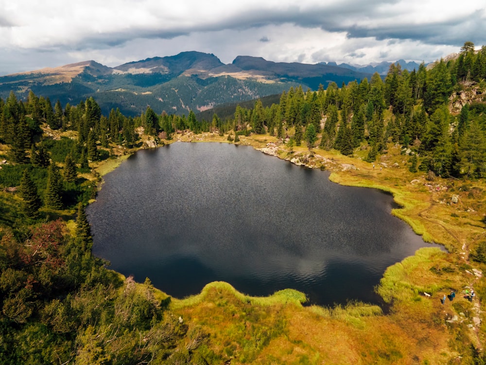 green trees near lake under cloudy sky during daytime