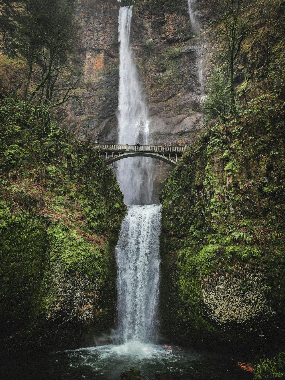 waterfalls in the middle of the forest