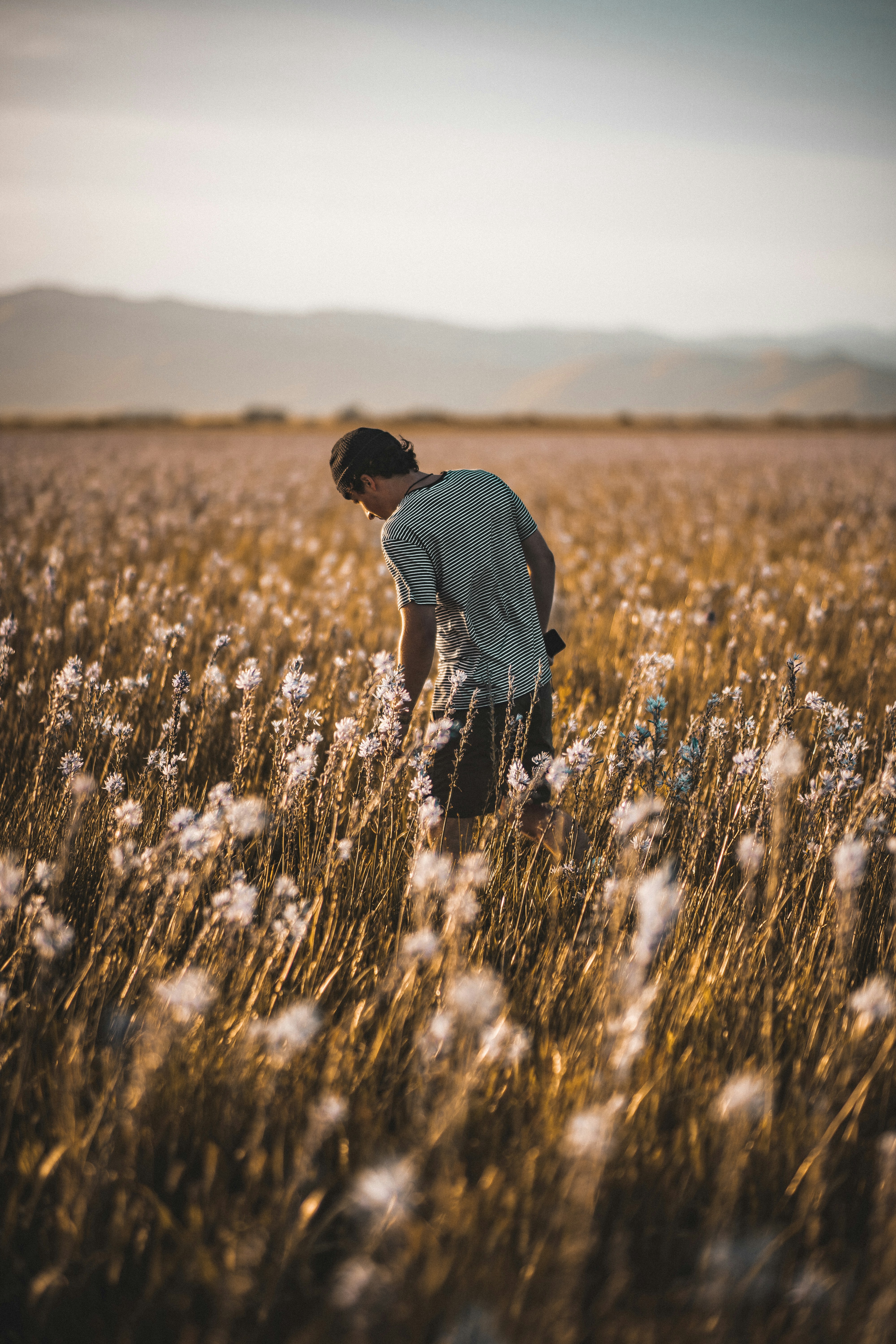 Choose from a curated selection of sunset photos. Always free on Unsplash.