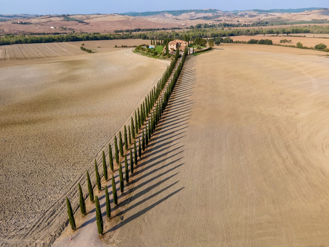 Plain photo spot Castiglione d'Orcia San Quirico d'Orcia