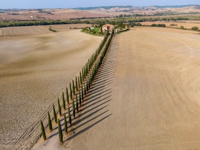 black metal fence on brown sand during daytime