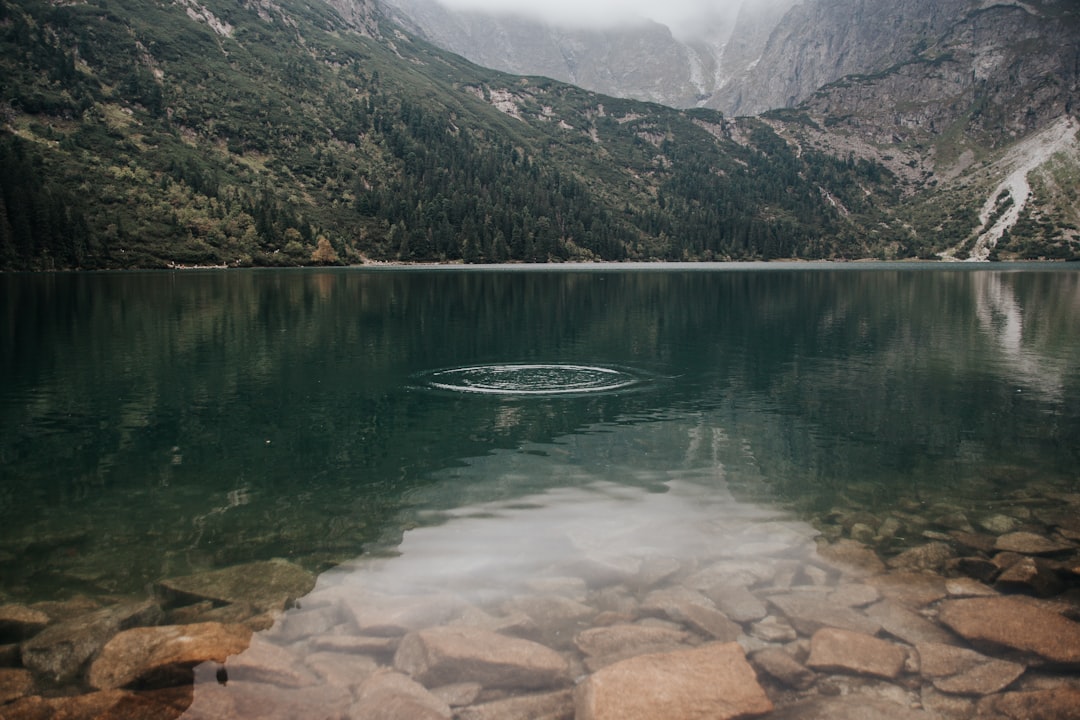 green lake near green trees and mountain during daytime