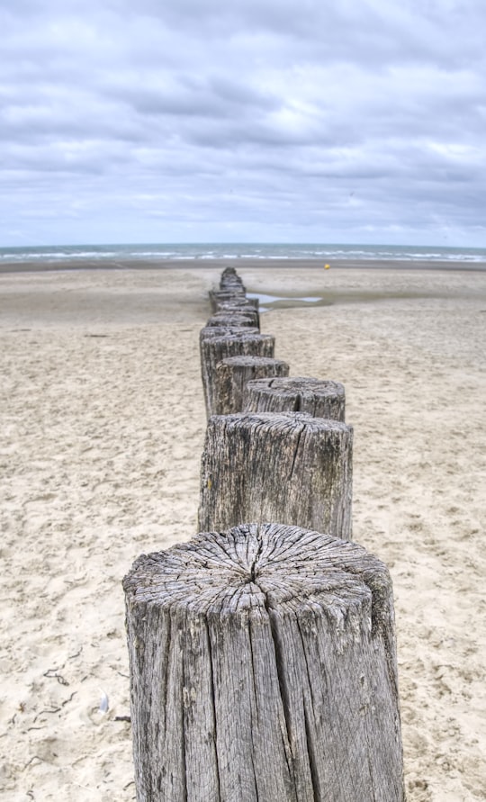 brown wooden post on brown sand during daytime in Berck France