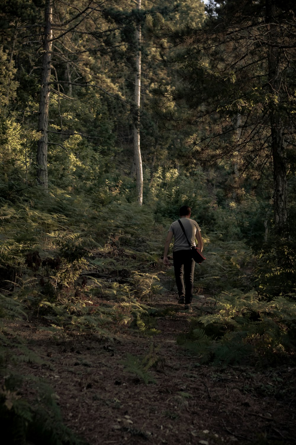 man in white t-shirt walking on forest during daytime