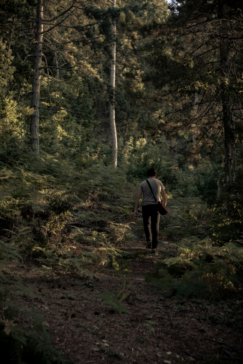 Hombre con camiseta blanca caminando en el bosque durante el día