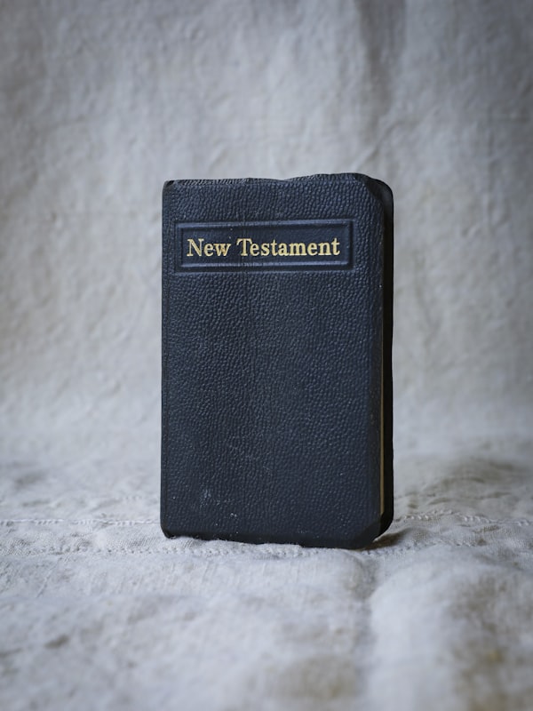 New Testament Survey