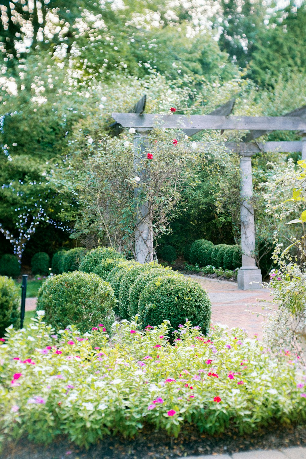 green trees and pink flowers