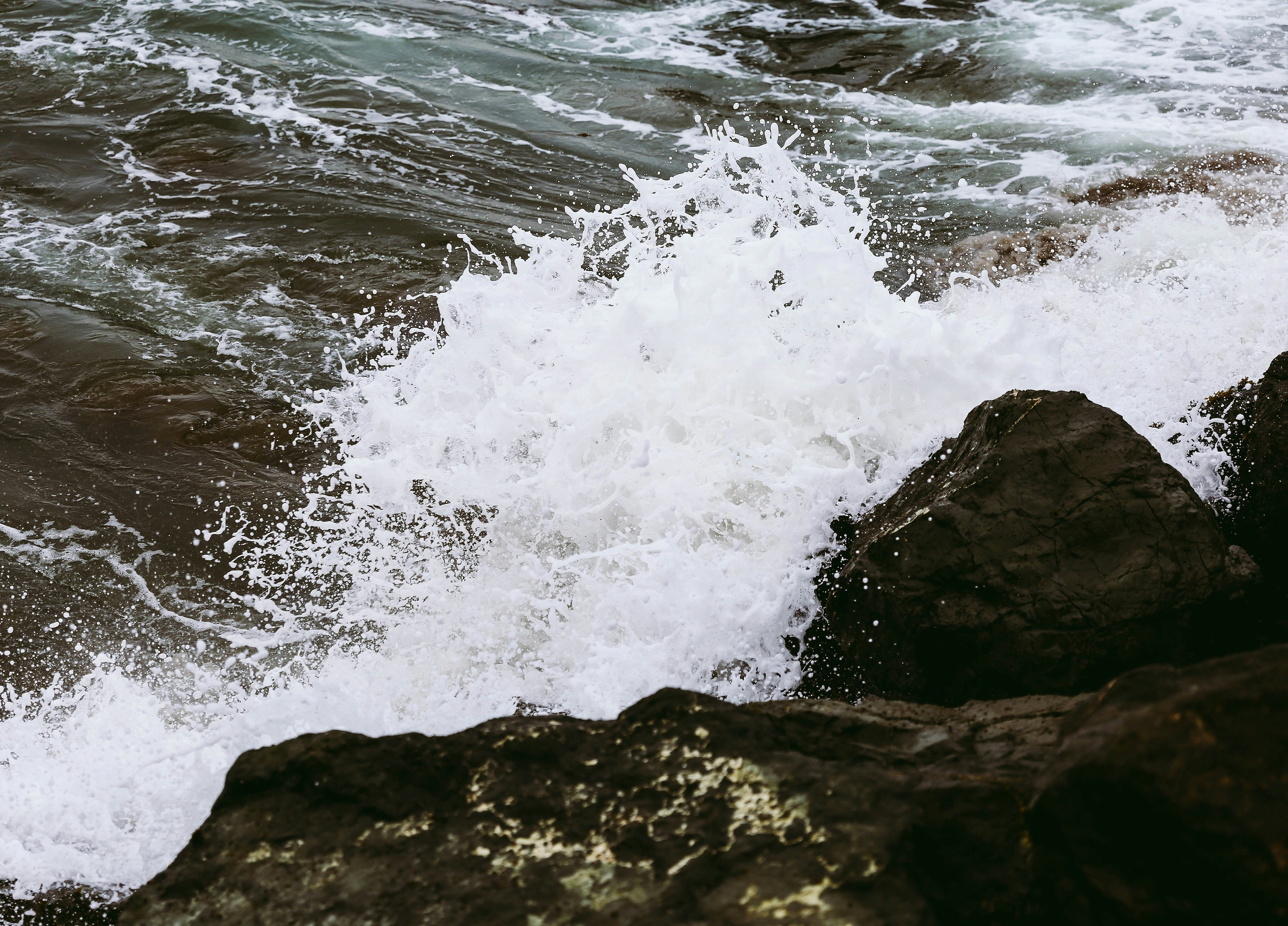 Photo by cullenjonez